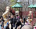 The Thomas Kimmel Playground at Elmwood Park Zoo