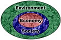 The three interlocking perspectives of sustainability