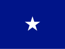 Flag of an Air Force brigadier general
