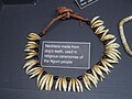 恩古尼人的犬牙项链，用于宗教仪式，展出于开普敦珠宝博物馆