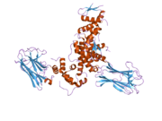 2e32: Structural basis for selection of glycosylated substrate by SCFFbs1 ubiquitin ligase