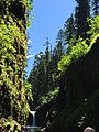 July afternoon in Punchbowl Falls