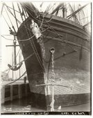 Sonoma bark figurehead and bow (1903)