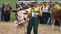 National Exposition of the Simmental Cattle and the Regional Championship of Hucul Horse.