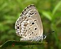 Wet-season at Cherthala, Alappuzha, Kerala, India