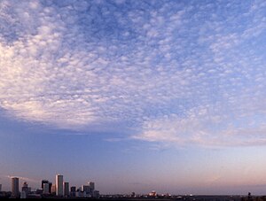 Mackerel sky