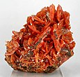 Red crystals of wulfenite