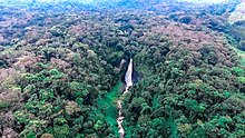 Kahuzi-Biega National Park.