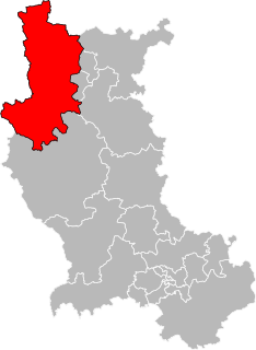 Situation of the canton of Renaison in the department of Loire