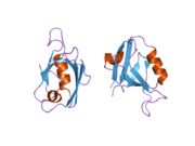 2g2l: Crystal Structure of the Second PDZ Domain of SAP97 in Complex with a GluR-A C-terminal Peptide