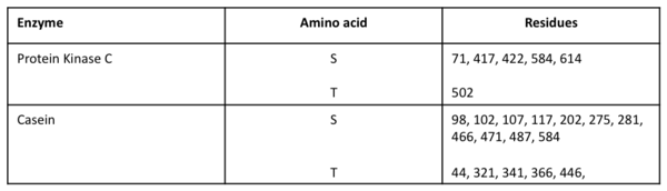 Phosphorylation sites predicted by PROSITE