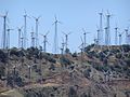 Tehachapi wind farm