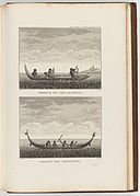 Illustrations of lisi from Voyage de La Pérouse autour du monde (1792)