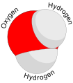 Image 4A water molecule consists of two hydrogen atoms and one oxygen atom. (from Water)