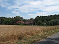 Field and houses