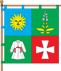 Flag of Chemerivtsi