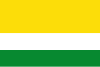 Flag of Valparaíso, Caquetá