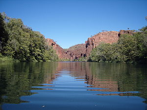 Lawn Hill Gorge at Boodjamulla National Park