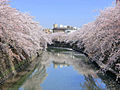 2012年4月22日 (日) 15:03版本的缩略图