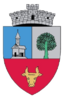 Coat of arms of Sălciua