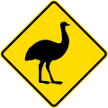 (W5-45) Emus crossing