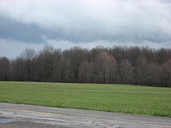 Fields at the McGuffey Homesite in northwestern Coitsville Township
