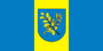 Flag of Dzyarzhynsk