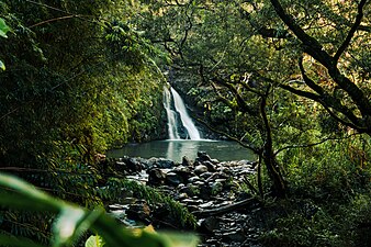 Haipua'ena Falls, located along the famed Road to Hana