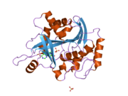 2a0y: Structure of human purine nucleoside phosphorylase H257D mutant