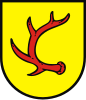 Coat of arms of Gmina Trzebiel