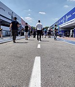 Paddock area, 2023.