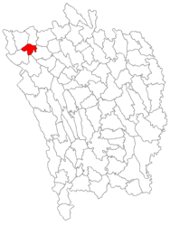 Location in Vaslui County