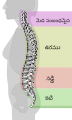 తెలుగు