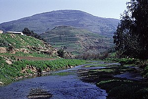 Zarqa river