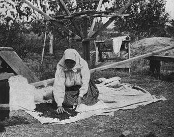 "Dried berries being packed away for winter luxuries"