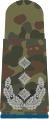 bright-grey emblem on 5-color-flecktarn – Heer (Colonel Supply corps)