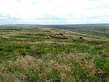 A flat, desolate, moorland under a cloudy sky, covered in long grass. A road runs from left to right in the distance.