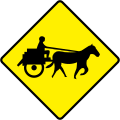 W 154 Jaunting Cars