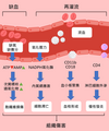 2024年8月2日 (五) 07:58版本的缩略图