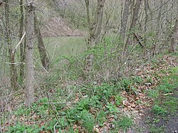 Buffalo Creek by Marsehll Woolen Mill Site