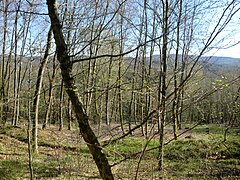 Hill overlooking the site of Shaft No. 2