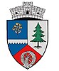 Coat of arms of Gura Râului