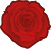 A red rose is often used as a symbol of social democracy
