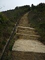 小马山登山梯