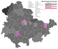 2004 Thuringian state election - Black is CDU, Pink is Left