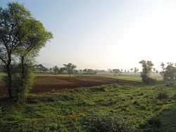 Fields near Elamanchili