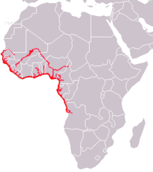 Map of Africa showing highlighted range along the western coast from Mali south to Angola and in portions of river systems