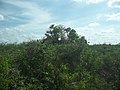 View of the archaeological site around Hacienda Chichí Suárez.