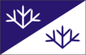 瓦萨莱马旗帜