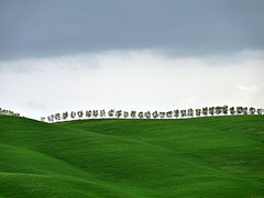Hilly landscape in Val d'Orcia